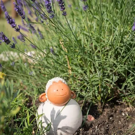 Sunny Garden * Zánka