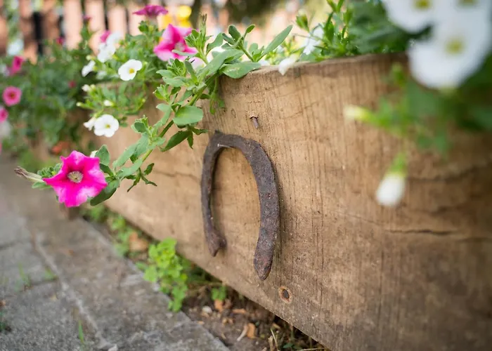 Sunny Garden Apartment Zanka