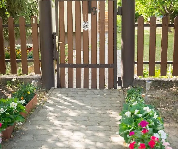 Sunny Garden *