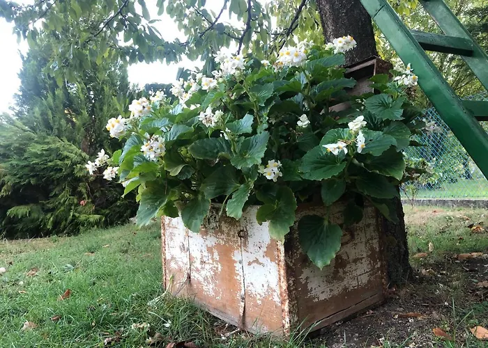Appartement Sunny Garden