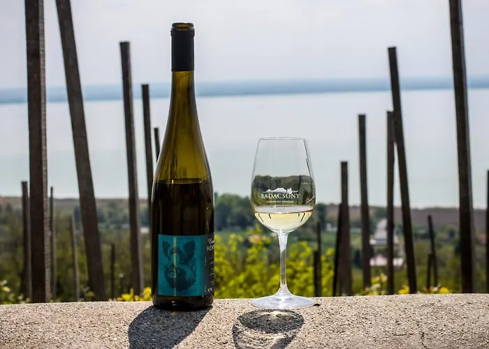 Sunny Garden Appartement