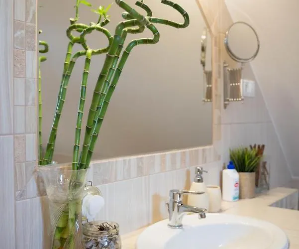 Sunny Garden Apartament Zánka